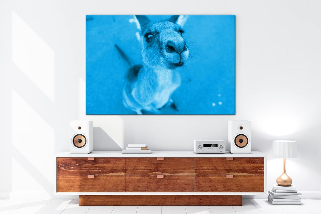deyoli niedliches Känguru Format 80x60 Effekt: Monocrome Blau als Leinwandbild, Motiv fertig gerahmt