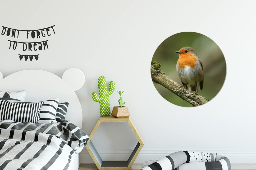 MuchoWow Wandbild Rund Wanddeko Deko Wohnzimmer Bilder 60x60 cm Vogel - Rotkehlchen - Zweig - Pflanz