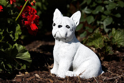 stoneandstyle Steinfigur französische Bulldogge Dogge Hund, Frost- und Wetterfest, handgearbeitet