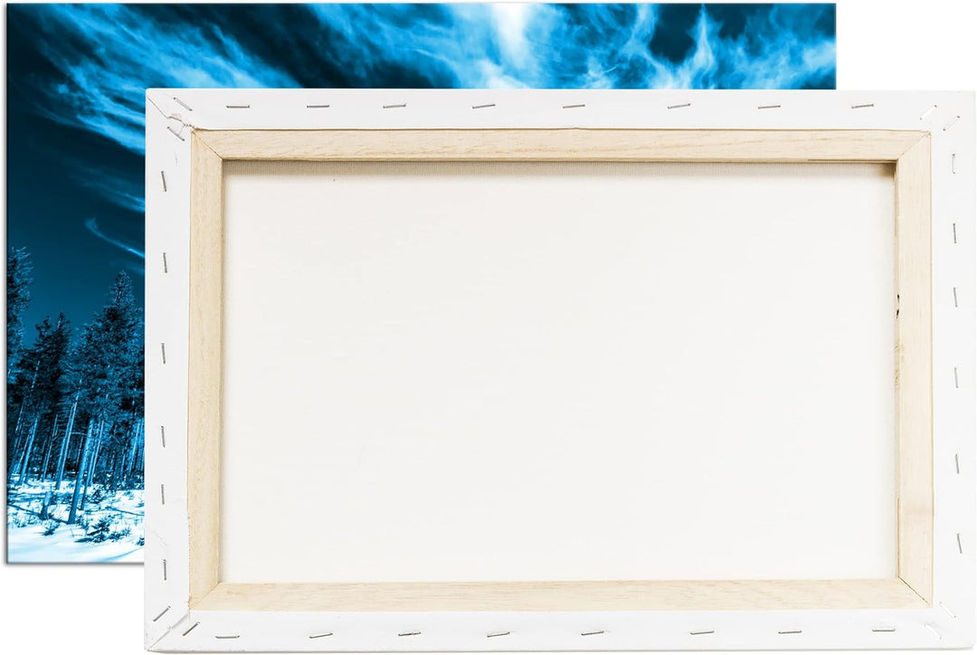 deyoli verschneiter Nadelwald Format: 80x60 Effekt: Monocrome Blau als Leinwand, Motiv fertig gerahm