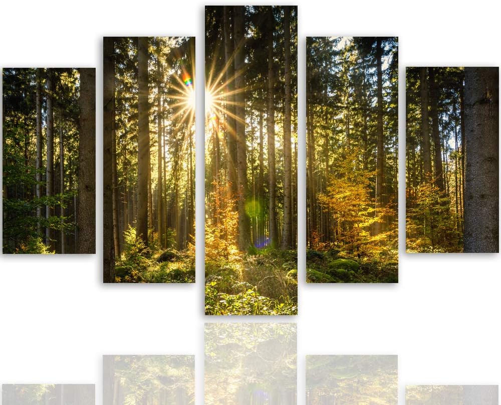 Feeby Bilder Modern Landschaft 5 Teilig Design Art Wald Sonnenstrahlen gelb 100x70 cm Deco panel 100
