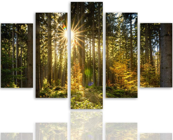 Feeby Bilder Modern Landschaft 5 Teilig Design Art Wald Sonnenstrahlen gelb 100x70 cm Deco panel 100