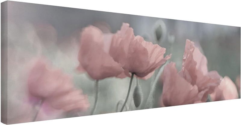 Bilderwelten Leinwandbild - Malerische Mohnblumen - Panorama Quer, 40cm x 120cm, 40cm x 120cm