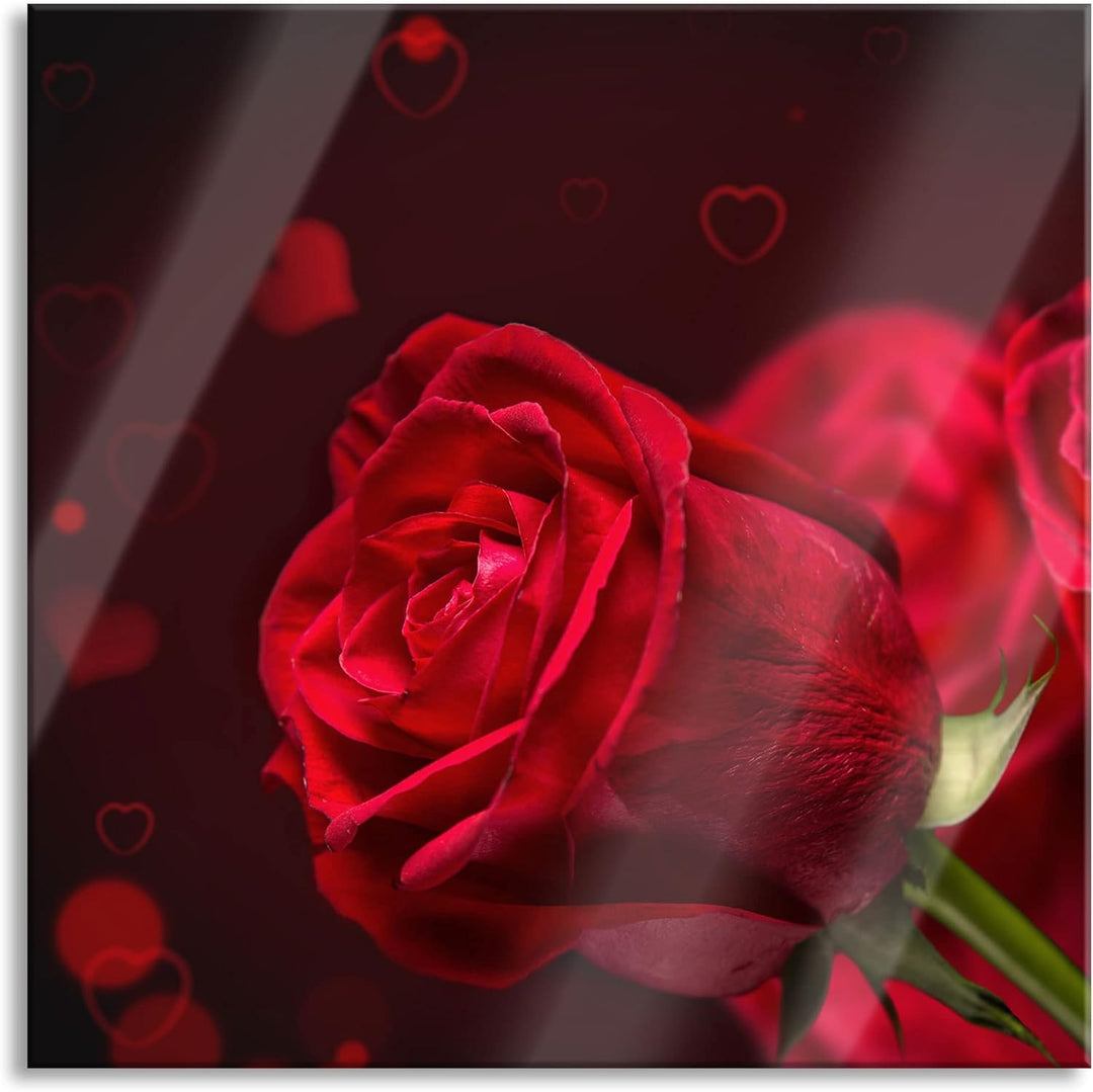 Pixxprint Glasbild | Wandbild auf Echtglas | Rosen | 50x50 cm | inkl. Aufhängung und Abstandshalter,