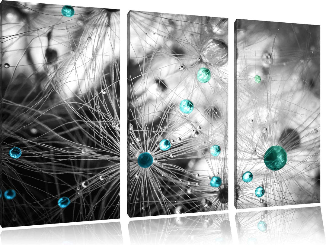 Pixxprint Wassertropfen auf Pusteblume als Leinwandbild | Grösse: 3 Teilig (120x80) | Wandbild| Kuns