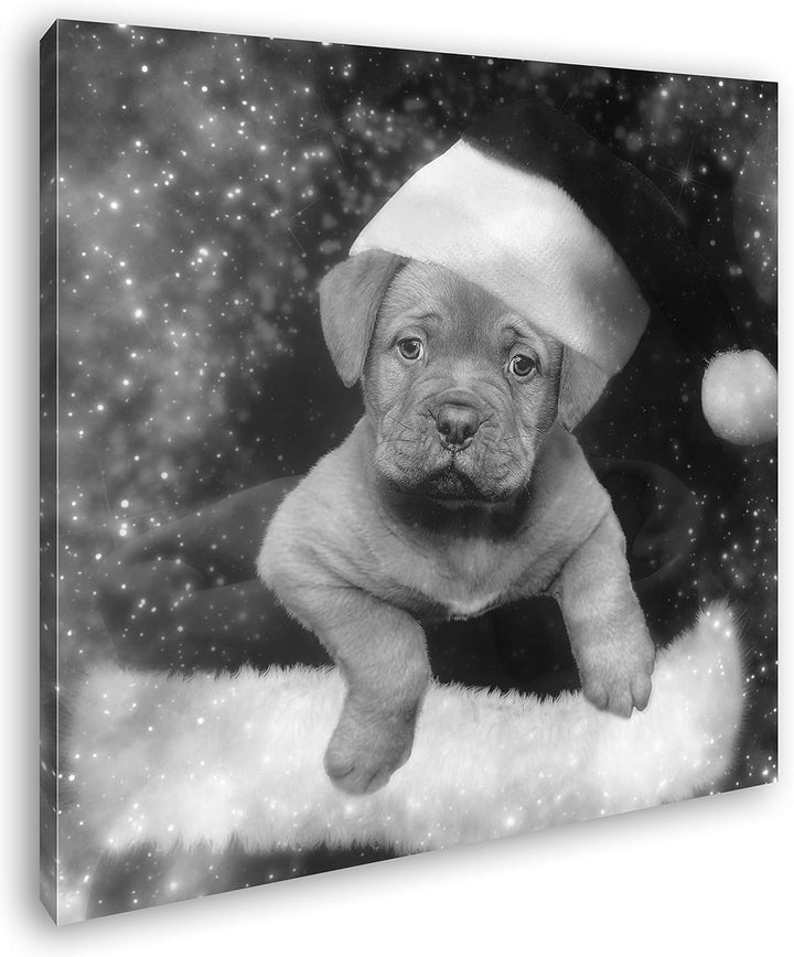 deyoli Tierisches Weihnachten Format: 60x60 Effekt: Schwarz&Weiss als Leinwandbild, Motiv fertig ger