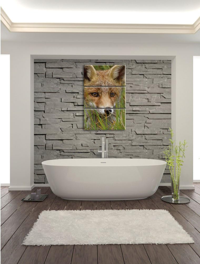 Pixxprint junger Fuchs auf Wiese als Leinwandbild/Grösse: 3 Teilig (120x80) cm/Wandbild/Kunstdruck/f