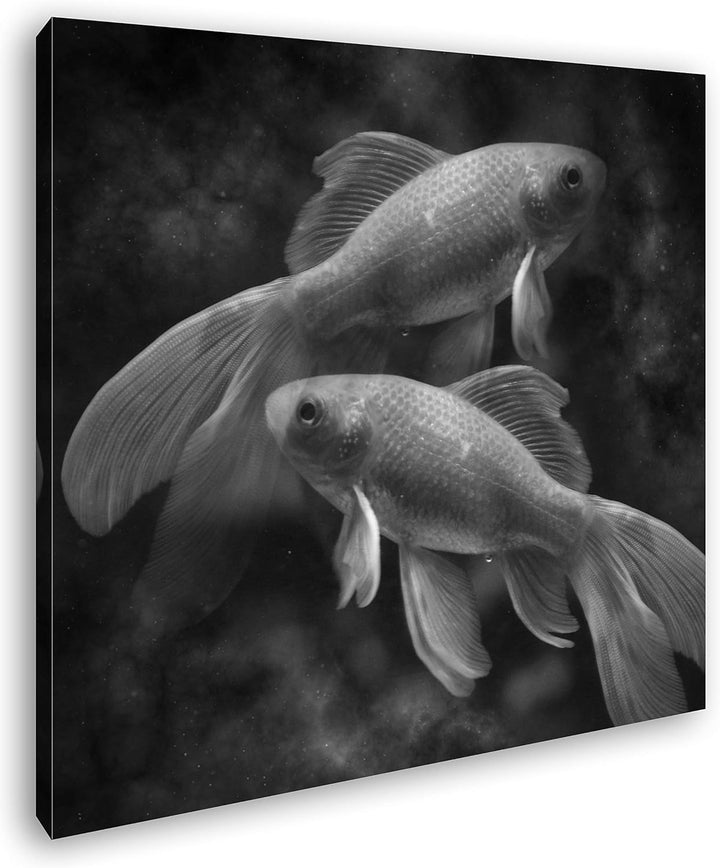 deyoli Dark Sternzeichen Fische Format: 70x70 Effekt: Schwarz&Weiss als Leinwandbild, Motiv fertig g