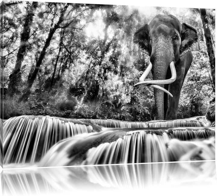 Pixxprint Monocrome, Elefant am Bach, Format: 100x70 auf Leinwand, 100x70