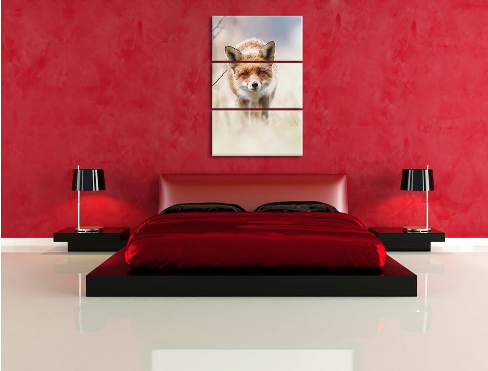 Pixxprint Schleichender Fuchs als Leinwandbild | Grösse: 3 Teilig (120x80) | Wandbild| Kunstdruck |