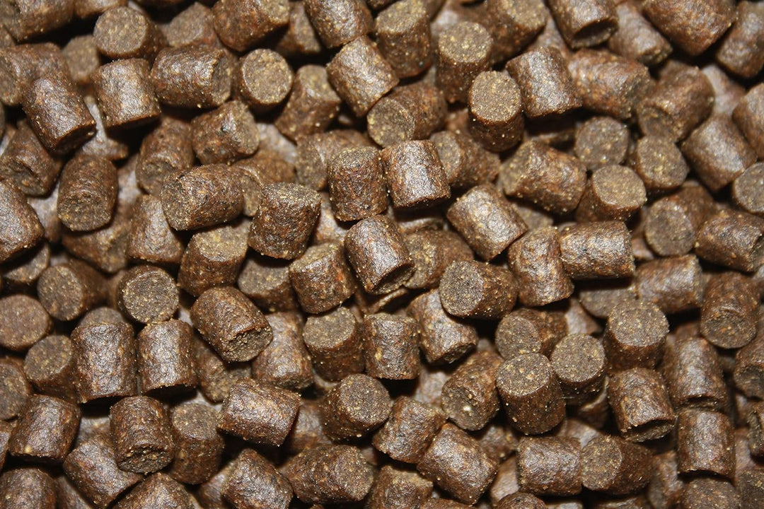 Winterfutter Koi Sinkfutter Koifutter für den Winter arktische Rohstoffe gut verdaulich bei Kälte En