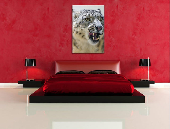 Pixxprint Schneeleopard zeigt Zähne auf Leinwand, XXL riesige Bilder fertig gerahmt mit Keilrahmen,