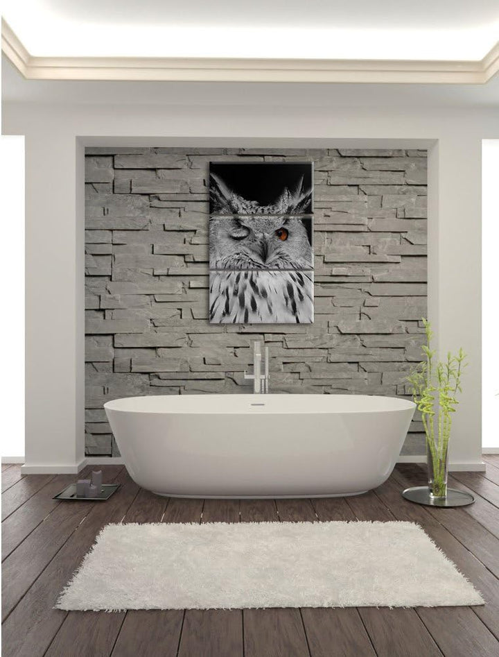 Pixxprint Dark schöne Waldohreule zwinkert schwarz/weiss 3-Teiler Leinwandbild 120x80 Bild auf Leinw