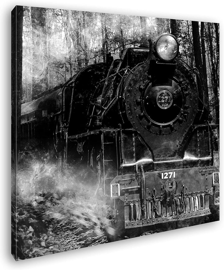 deyoli gewaltige Lokomotive im Wald im Format: 70x70 Effekt: Schwarz&Weiss als Leinwandbild, Motiv a