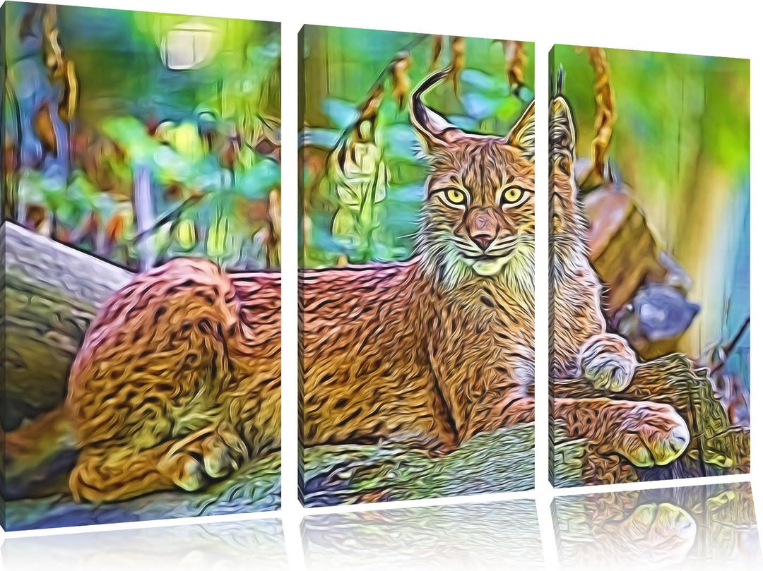 aufmerksamer Luchs NewArt 3-Teiler Leinwandbild 120x80 Bild auf Leinwand, XXL riesige Bilder fertig