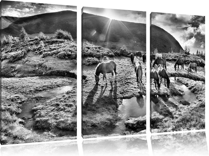 Pixxprint Pferde auf Wiese als Leinwandbild/Grösse: 3 Teilig (120x80) cm/Wandbild/Kunstdruck/fertig