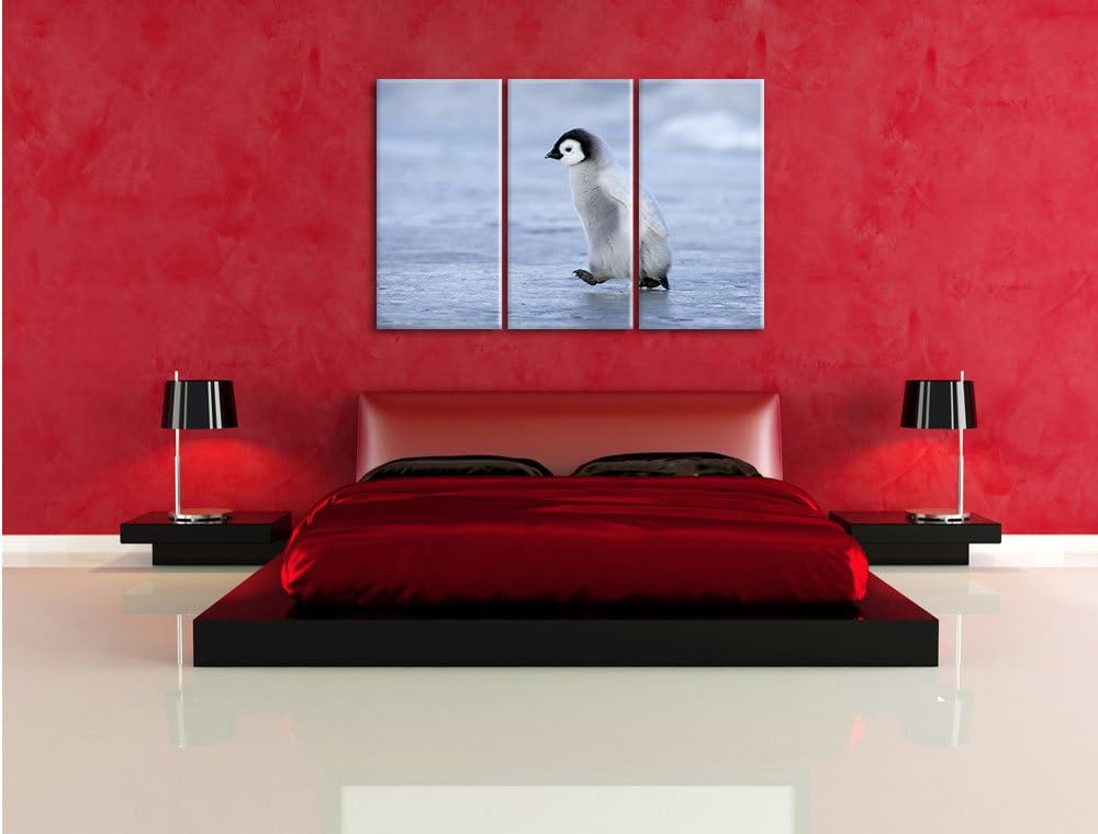 Pixxprint Niedliches Kaiserpinguinkücken als Leinwandbild/Grösse: 3 Teilig (120x80) cm/Wandbild/Kuns