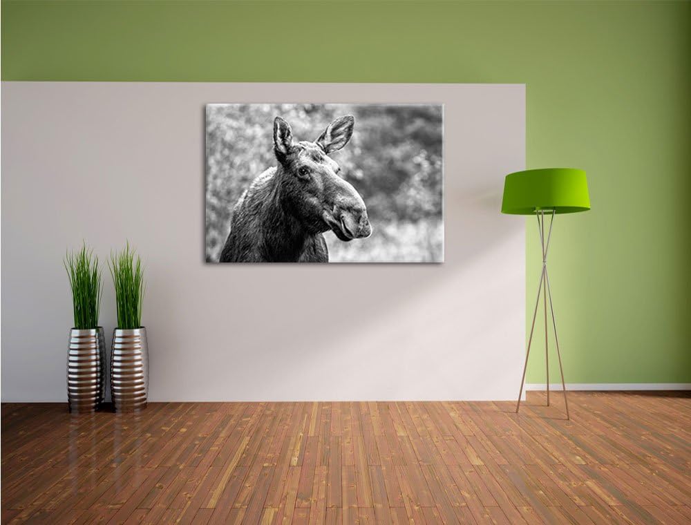 Elch im Wald Kunst B&W, Format: 100x70 auf Leinwand, XXL riesige Bilder fertig gerahmt mit Keilrahme