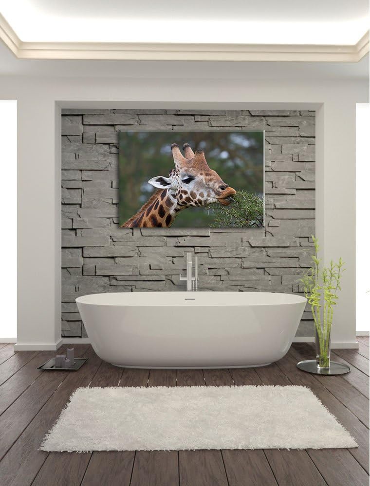 schöne Giraffe beim Fressen Leinwand, XXL riesige Bilder fertig gerahmt mit Keilrahmen, Kunstdruck a