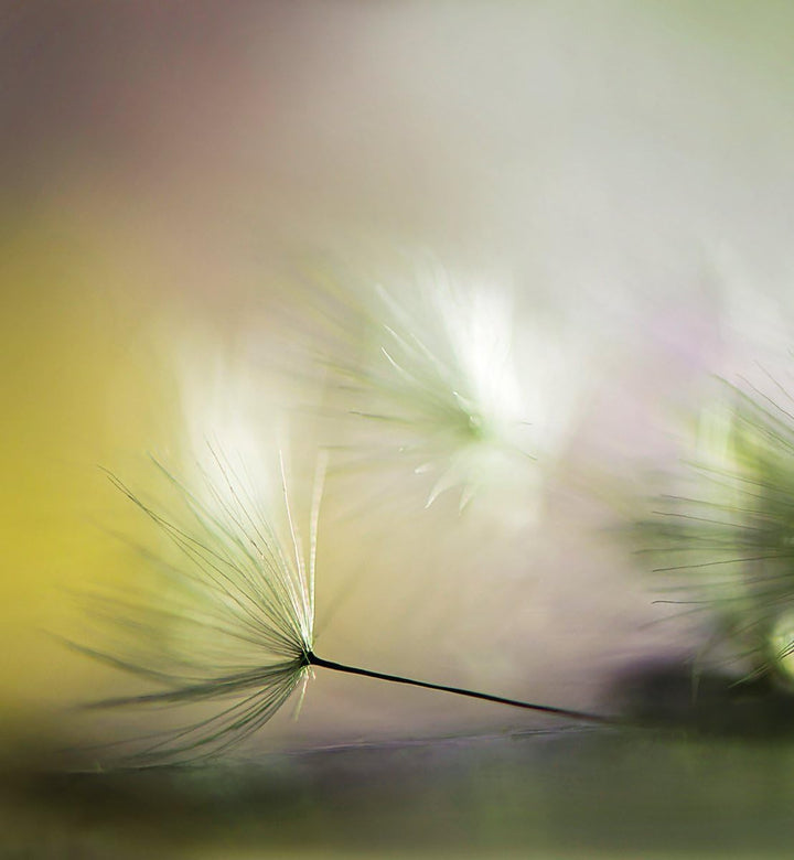 Eurographics In The Morning 60x65 ESG-Küchenspritzschutz, Glas, Mehrfarbig, 65 x 60 x 0,5 cm 65,00 x