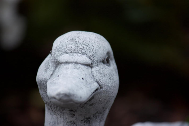 stoneandstyle Steinfigur natürliche Ente, massiver Steinguss, Frost- und wetterfest