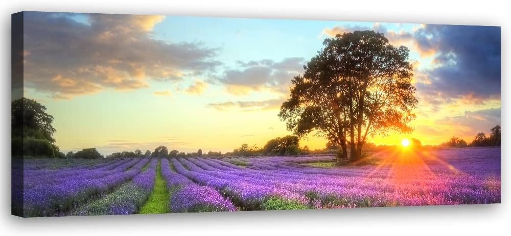 Feeby Bild auf Vlies Leinwand Natur Lavendelfeld Sonnenuntergang 120x40 cm Kunstdruck Modern Wandbil