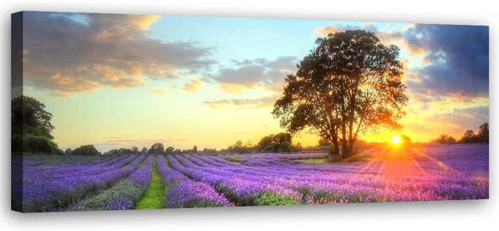Feeby Bild auf Vlies Leinwand Natur Lavendelfeld Sonnenuntergang 120x40 cm Kunstdruck Modern Wandbil