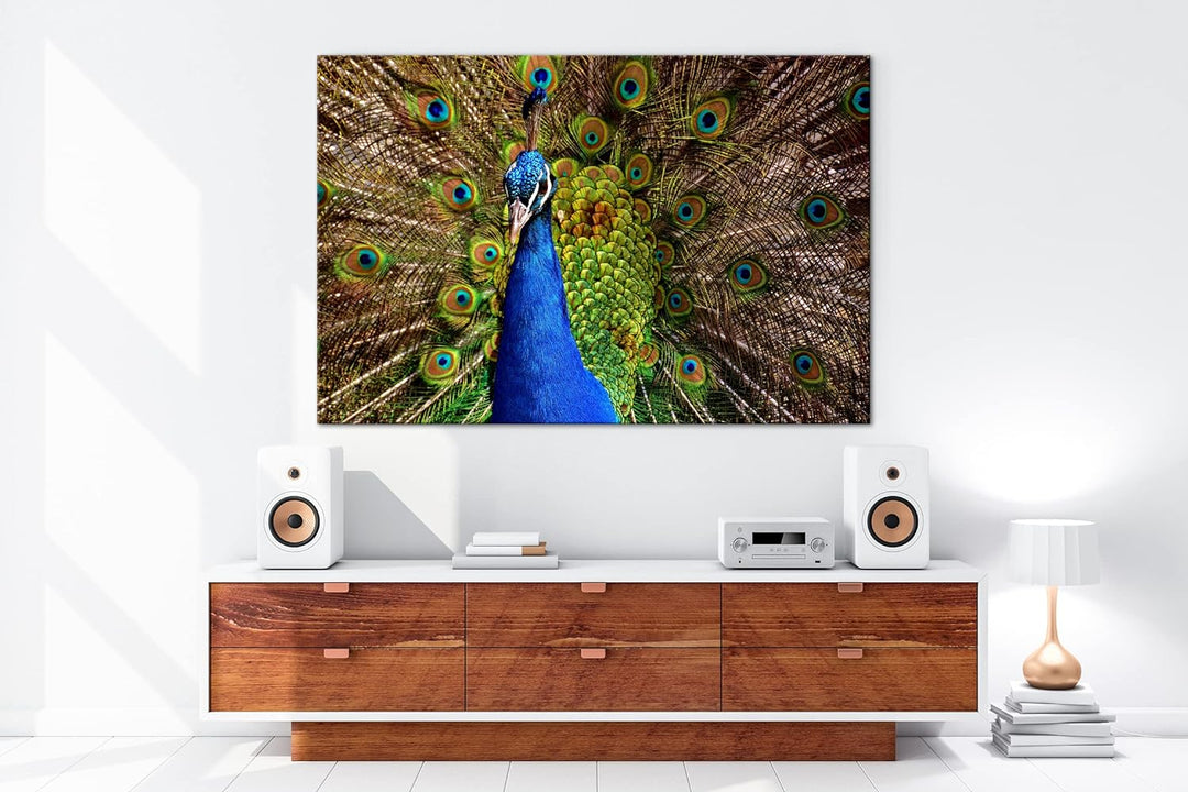 deyoli himmlisches Pfau Gefieder Format: 80x60 cm als Leinwandbild, Motiv fertig gerahmt auf Echthol