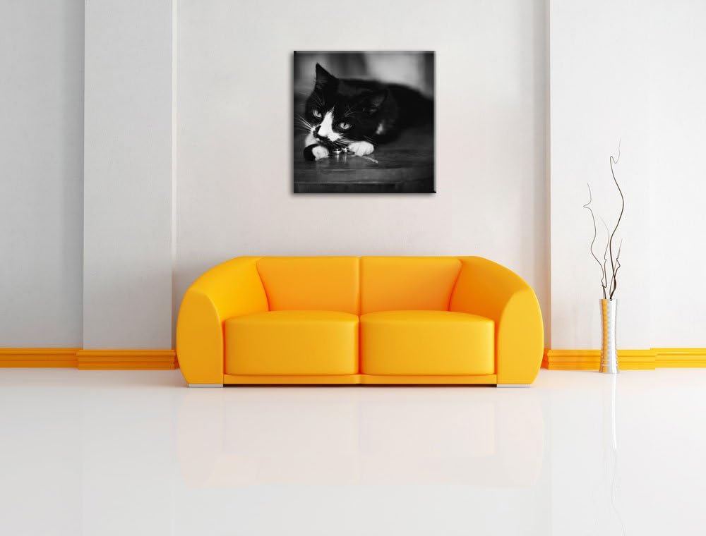 Schwarze Katze spielt mit Ehering, Format: 70x70 auf Leinwand, 70x70
