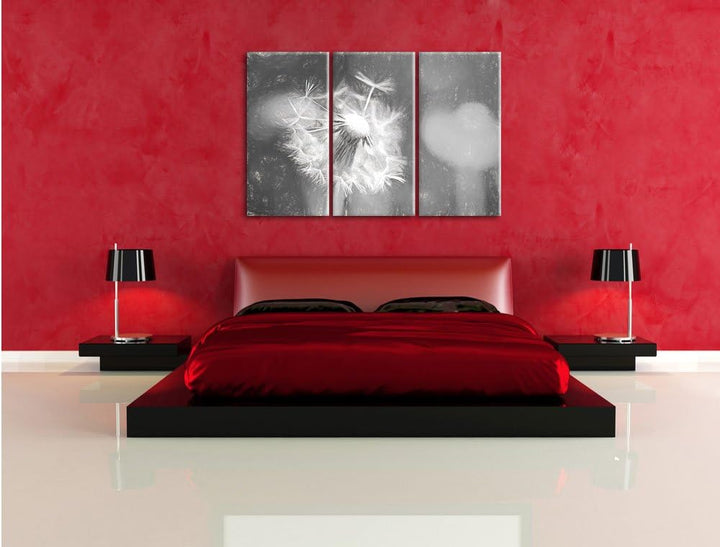 Pixxprint Schöner weisser Löwenzahn Kunst / 3-Teilig/Gesamtmass 120cm Leinwandbild bespannt auf Holz