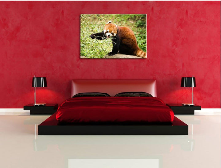 Niedlicher roter Panda, Format: 100x70 auf Leinwand, XXL riesige Bilder fertig gerahmt mit Keilrahme