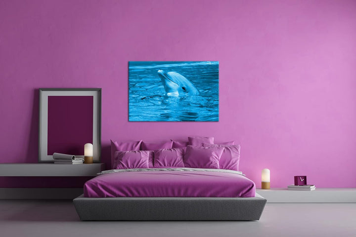 deyoli freundlicher Delphin im Aquarium Format 80x60 Effekt: Monocrome Blau als Leinwandbild, Motiv