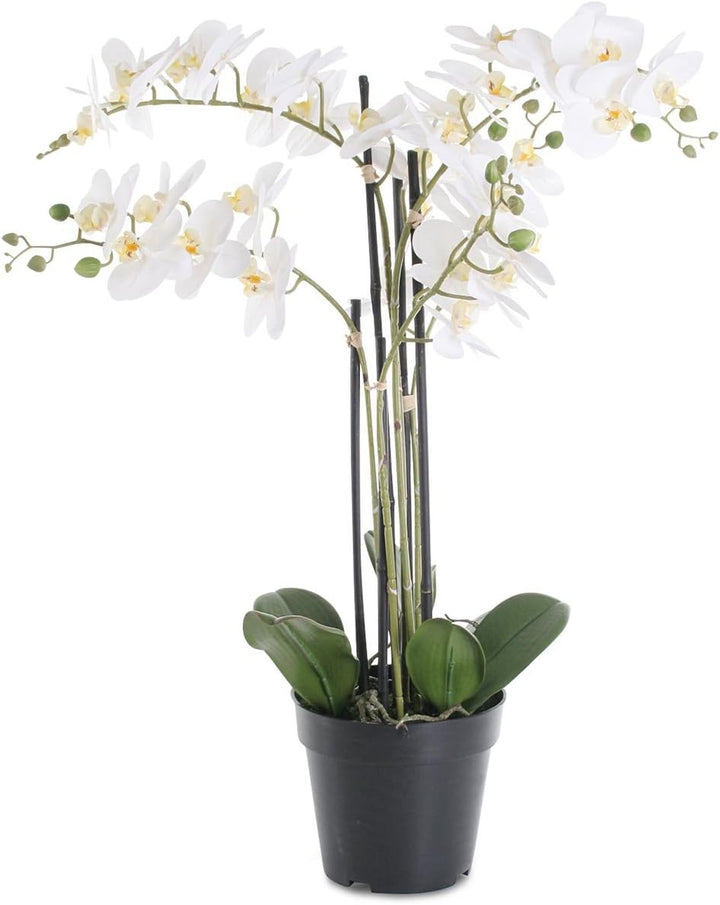 levandeo Weisse Orchidee 72cm Pflanze Kunstblume Kunstpflanze Dekoration Blume Dekoblume 72cm Weiss,