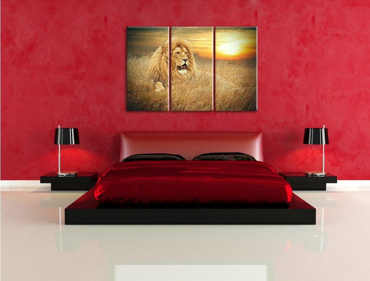 Pixxprint mächtiger Löwe als Leinwandbild/Grösse: 3 Teilig (120x80 cm) cm/Wandbild/Kunstdruck/fertig