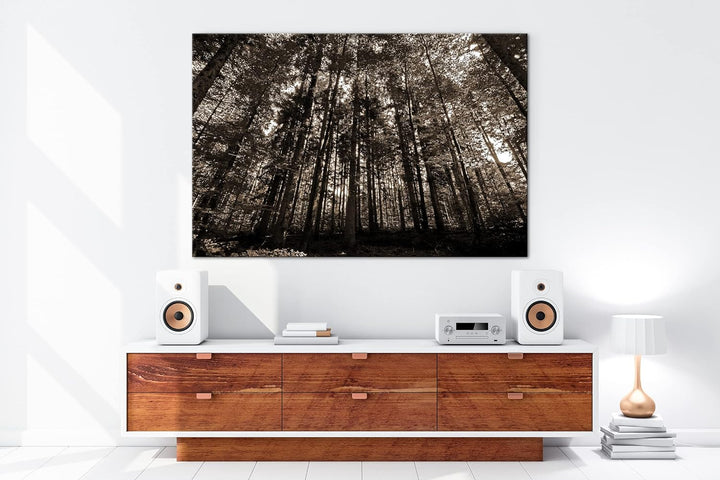deyoli Wald voller Bäume Format: 80x60 als Leinwand, Effekt: Sepia, Motiv fertig gerahmt auf Echthol