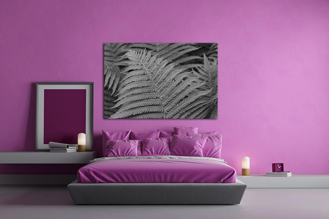 deyoli bezaubernder Farn Effekt: Schwarz/Weiss Format: 100x70 als Leinwandbild, Motiv fertig gerahmt