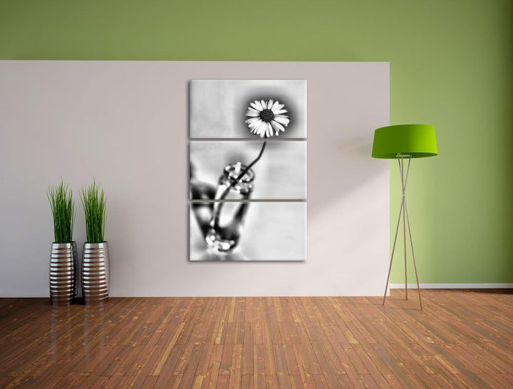 Pixxprint kleines Gänseblümchen im Glas als Leinwandbild/Grösse: 3 Teilig (120x80) cm/Wandbild/Kunst