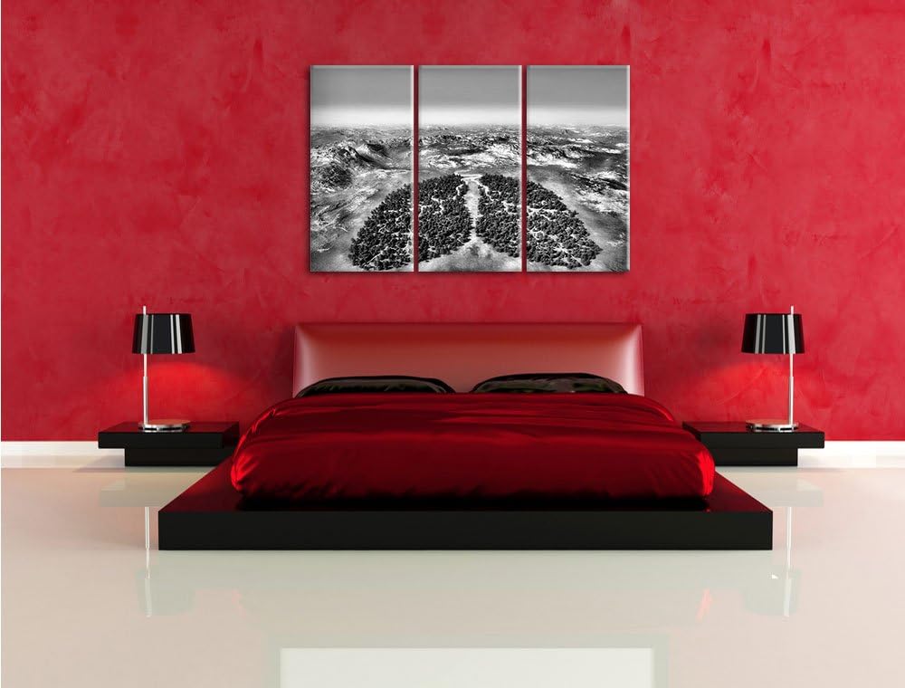 Pixxprint Grüne Lunge der Natur als Leinwandbild/Grösse: 3 Teilig (120x80) cm/Wandbild/Kunstdruck/fe