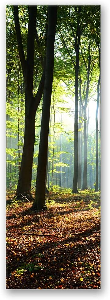 Feeby Vlies Leinwandbild Wald Natur 60x150 cm Wand Bild Kunstdruck Deko Wohnzimmer Wohnungs Deko Son