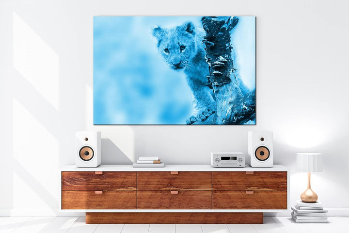 niedliches Löwenbaby in der Natur Format 80x60 Effekt: Monocrome Blau als Leinwandbild, Motiv fertig