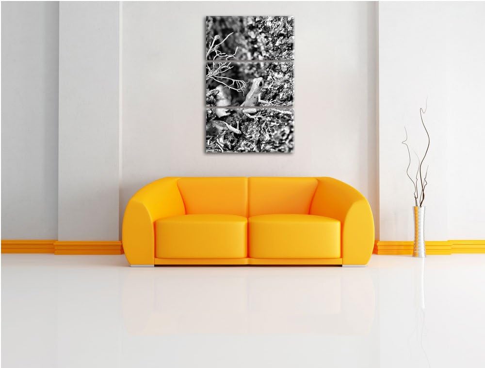 Pixxprint hochgiftiger Kleiner Frosch als Leinwandbild/Grösse: 3 Teilig (120x80) cm/Wandbild/Kunstdr