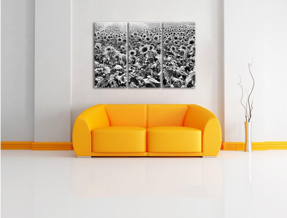 Pixxprint Riesiges Sonnenblumenfeld als Leinwandbild/Grösse: 3 Teilig (120x80) cm/Wandbild/Kunstdruc