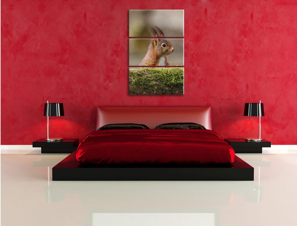 Pixxprint Eichhörnchen hinter Baumstamm als Leinwandbild/Grösse: 3 Teilig (120x80) cm/Wandbild/Kunst