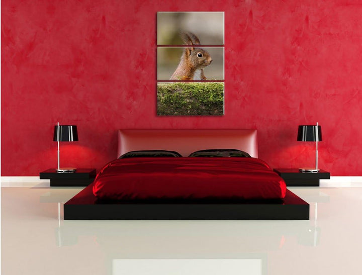 Pixxprint Eichhörnchen hinter Baumstamm als Leinwandbild/Grösse: 3 Teilig (120x80) cm/Wandbild/Kunst