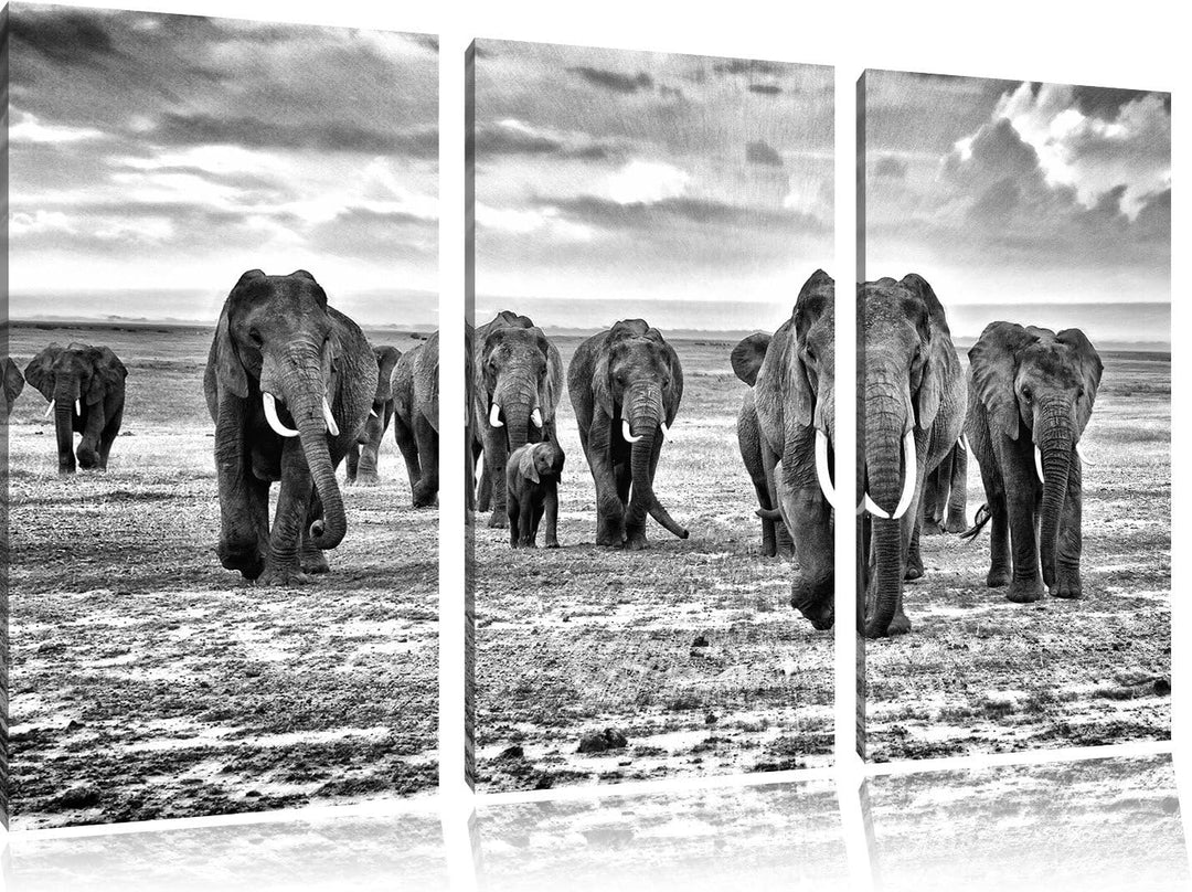 Pixxprint Elefanten Familie in der Savanne als Leinwandbild/Grösse: 3 Teilig (120x80) cm/Wandbild/Ku
