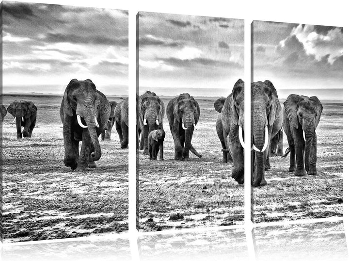 Pixxprint Elefanten Familie in der Savanne als Leinwandbild/Grösse: 3 Teilig (120x80) cm/Wandbild/Ku