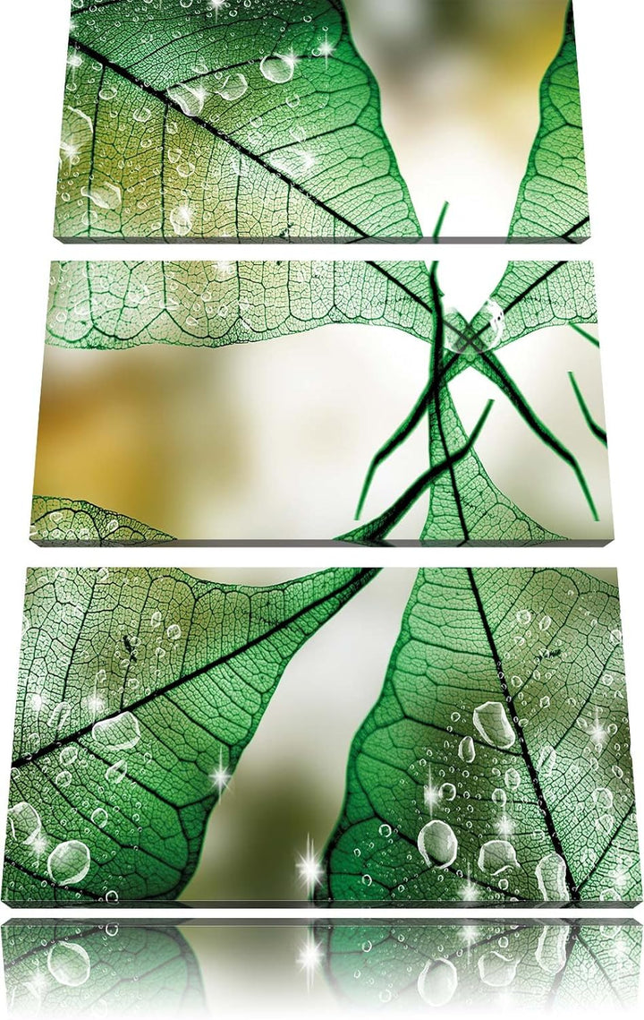 Pixxprint Grüne Blätter / 3-Teilig/Gesamtmass 120cm Leinwandbild bespannt auf Holzrahmen/Wandbild Ku