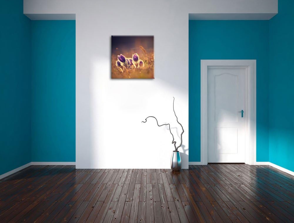 Pixxprint Lila Küchenschelle auf Bergwiese als Leinwandbild | Grösse: 70x70 cm | Wandbild | Kunstdru