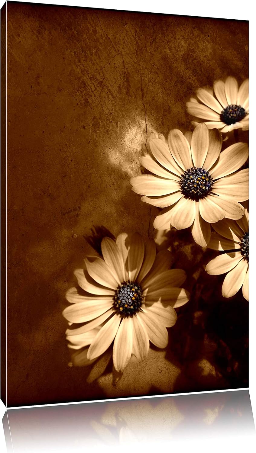 Pixxprint kleine Margareten an Hauswand auf Leinwand, XXL riesige Bilder fertig gerahmt mit Keilrahm