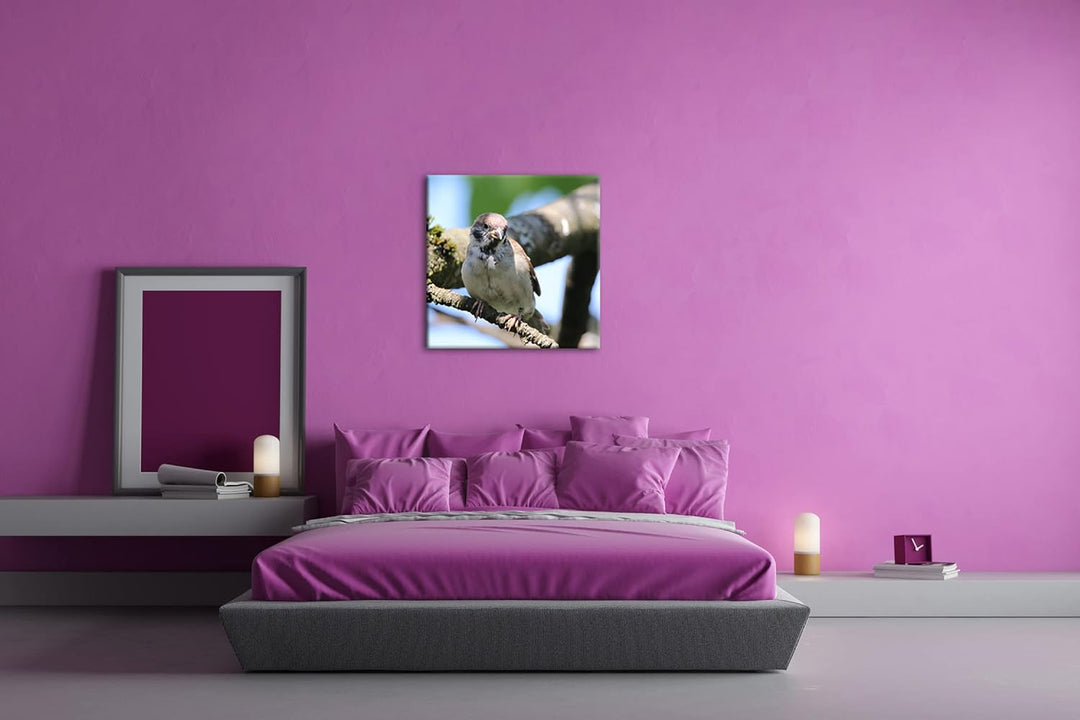 deyoli neugieriger Vogel Format: 70x70 als Leinwandbild, Motiv fertig gerahmt auf Echtholzrahmen, Ho